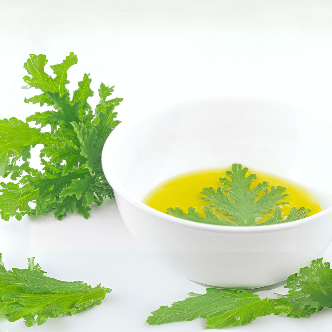 Géranium Anti-moustiques Citronnelle FERRIERE